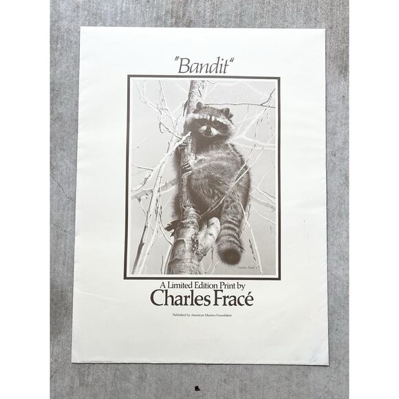 1984 Charles Fracé “Bandit, Raccoon” Large Signed Lithograph Print 30”X22” w/COA - Picture 2 of 14